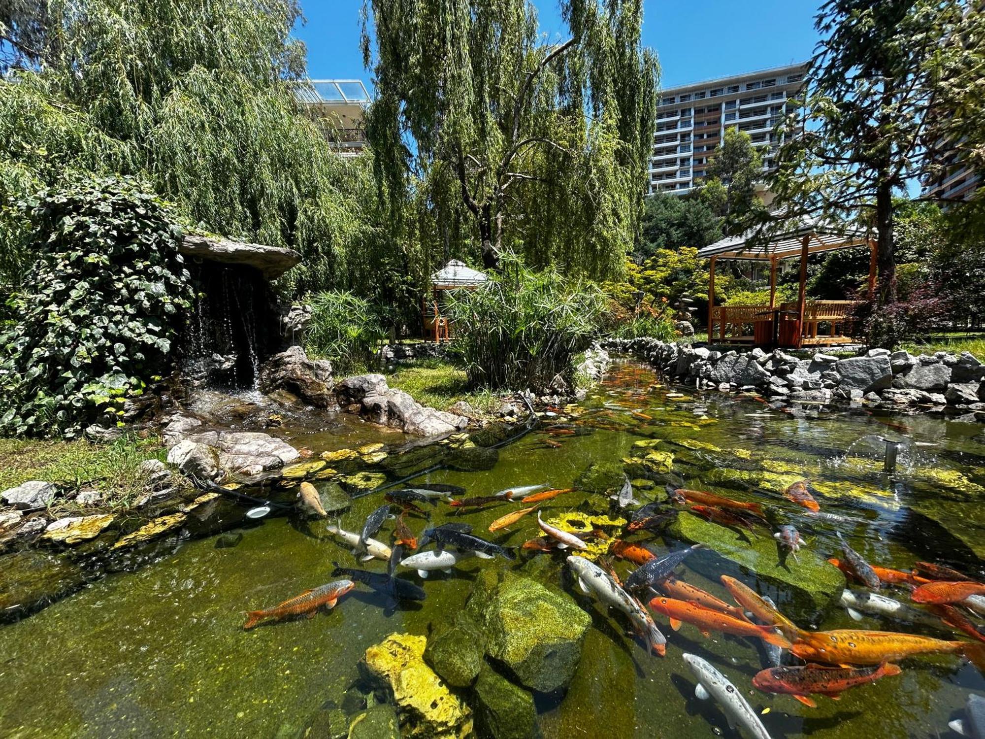 Cемейный Номер С Балконом На 4 Чел Dreamland Oasis Czakwi Zewnętrze zdjęcie